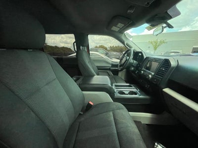 2019 Ford F-150 XL - STX APPEARANCE PKG / 26 MPG HWY