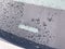 2022 Hyundai Palisade Calligraphy - HEAD UP DISPLAY / POWER MOONROOF