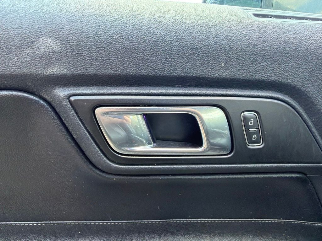 2019 Ford Mustang EcoBoost Premium Leather, Automatic