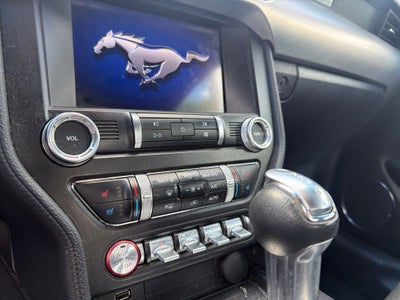2019 Ford Mustang EcoBoost Premium Leather, Automatic