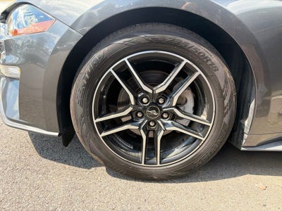 2019 Ford Mustang EcoBoost Premium Leather, Automatic