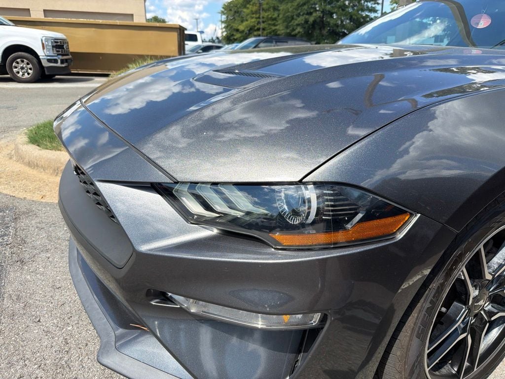 2019 Ford Mustang EcoBoost Premium Leather, Automatic