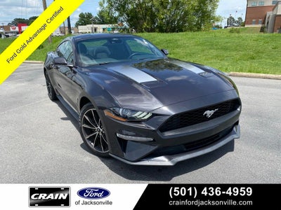 2022 Ford Mustang EcoBoost
