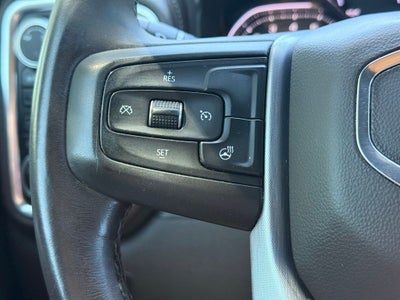 2019 GMC Sierra 1500 SLT BRUSH GUARD