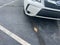 2016 Subaru Forester 2.0XT Premium Premium