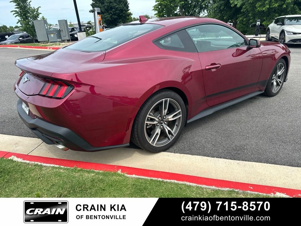 2025 Ford Mustang EcoBoost - CLEAN CARFAX / ONE OWNER