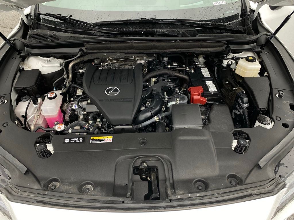 2025 Lexus RX 350 Premium Plus