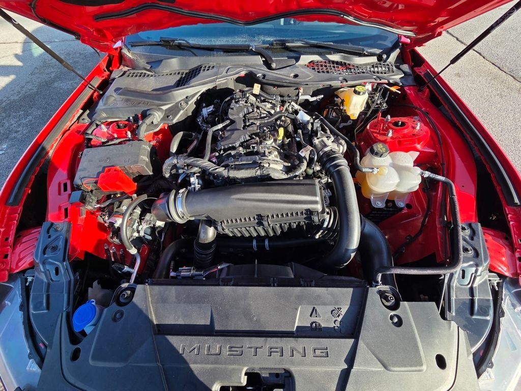 2025 Ford Mustang EcoBoost